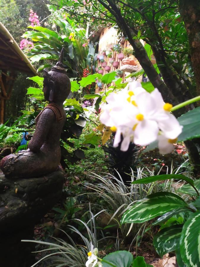 Alojamiento Natural La Cueva De Morgan San Rafael San Rafael  Ngoại thất bức ảnh