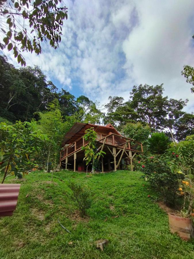 Alojamiento Natural La Cueva De Morgan San Rafael San Rafael  Ngoại thất bức ảnh